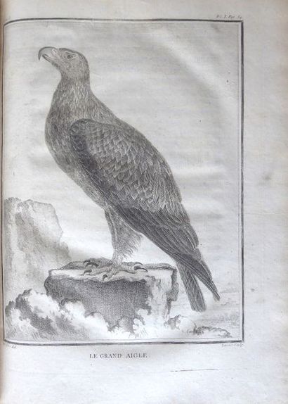 BUFFON Histoire naturelle générale et particulière. Paris, Imprimerie royale, 1774-1804....