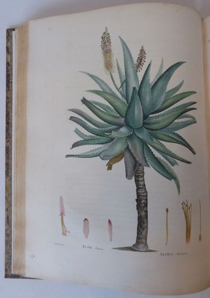 CANDOLLE Plantarum succulentarum historia. Histoire des plantes grasses. Paris, Garnery,...