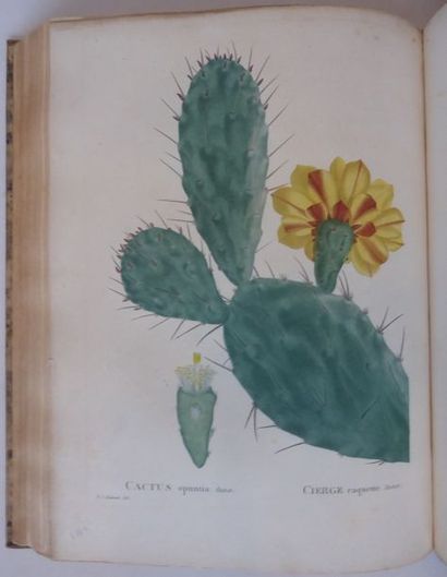 CANDOLLE Plantarum succulentarum historia. Histoire des plantes grasses. Paris, Garnery,...