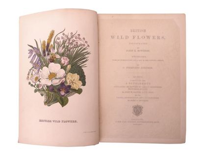 JOHNSON British wild flowers. London, John Van Voorst, 1876. In-8, percaline verte...