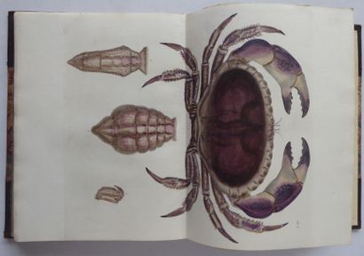 LEACH Malacostraca podophthalmata britanniae... London, Meredith, 1815; B. Quaritch,...