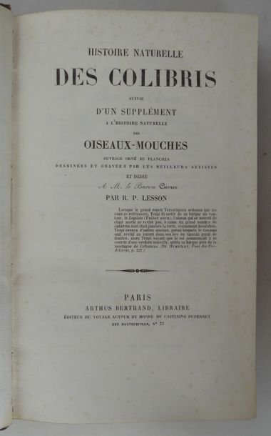 LESSON Natural history of birds of paradise and Epimics. Paris, Arthus Bertrand,...