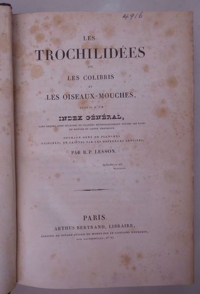 LESSON Histoire naturelle des oiseaux mouches. Paris, Arthus Bertrand, [1829]. In-8,...