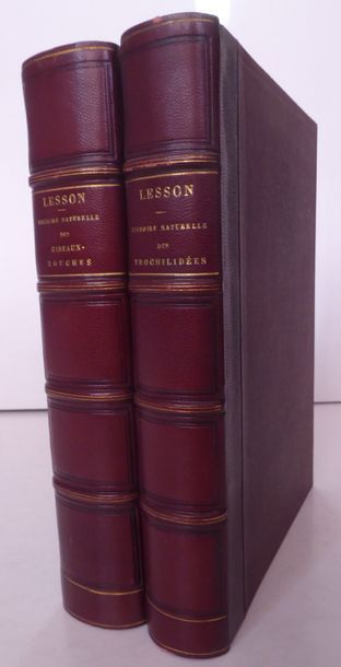 LESSON Histoire naturelle des oiseaux mouches. Paris, Arthus Bertrand, [1829]. In-8,...