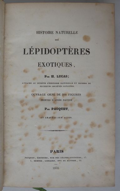 LUCAS Natural history of the lepidoptera of Europe. Paris, Pauquet, 1834. In-8, brown...