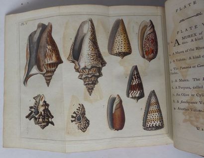 MENDES DA COSTA Elements of conchology. London, White, 1776. In-8, veau raciné, encadrement...
