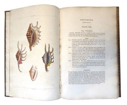 PERRY (George) Conchology; or the Natural history of shells. Londres, William Miller,...