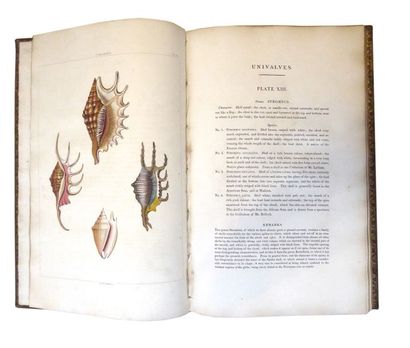 PERRY (George) Conchology; or the Natural history of shells. London, William Miller,...