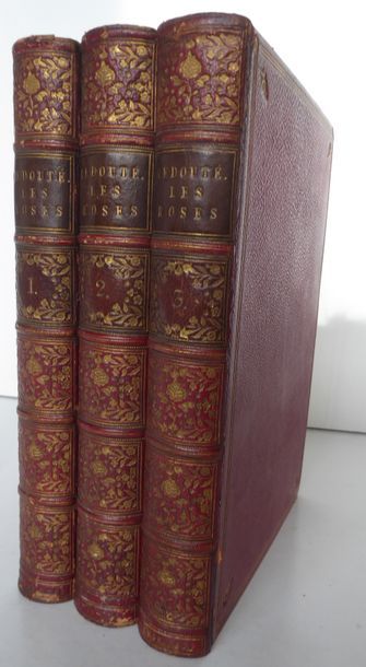 REDOUTE The Roses Painted by Dread. Paris, Dufart, 1835. 3 vols. in-8, red chagrin,...