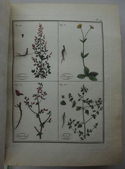 ROQUES Usual, indigenous and exotic plants. Paris, chez l'auteur, 1807-1808. 2 vols....