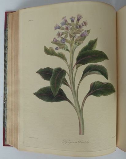 ROSCOE (Edward) Floral illustrations of the seasons. London, Havell, 1829. In-4,...