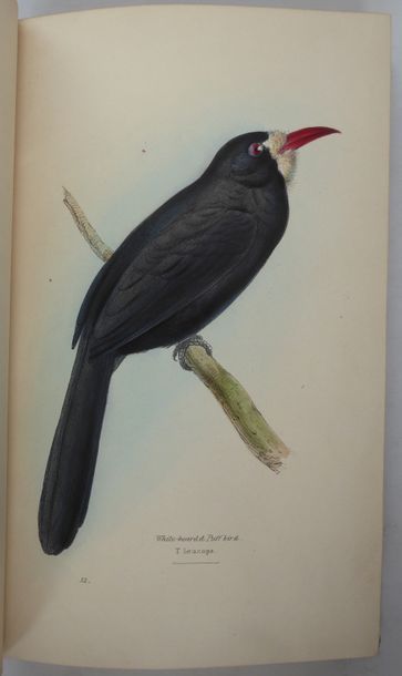 SWAINSON (William) A selection of the birds of Brazil and Mexico. London, Bohn, 1841....