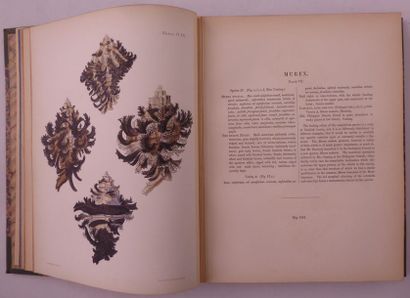 SWAINSON (William) Exotic Cochology. London, Bohn, 1841. In-4, green half morocco,...