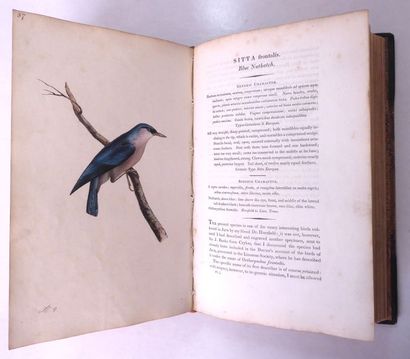 [SWAINSON (William) Zoological illustrations... (Ornithology). 1820-1823]. In-8,...