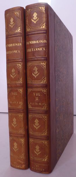 WATSON Dendrologia britannica... London, Printed for the author, 1825. 2 vols. in-8,...