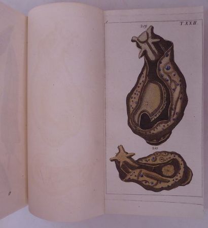 WILHELM Unterheltungen aus der naturgeschichte. Vienna, Rosten, 1813. 2 vols. in-8,...