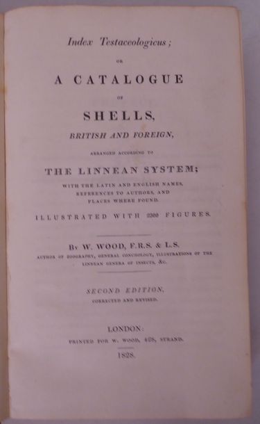 WOOD Index testaceologicus: or a catalogue of shells. - Extra charge. London, Wood,...
