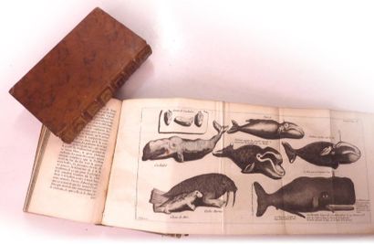 ANDERSON Natural history of the Island, Greenland, Davis Strait. Paris, Jorry, 1750....