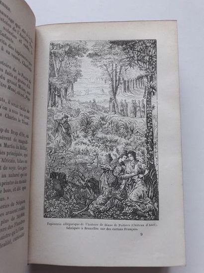 null « Les Tapisseries », Albert Castel ; Ed. Librairie Hachette et Cie,1876, 316...