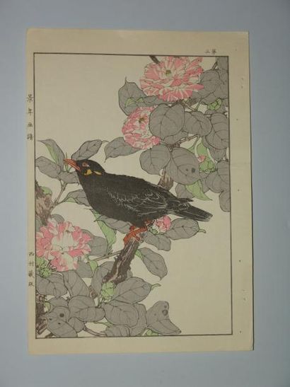 null Deux estampes de Keinen, série des oiseaux aux quatre saisons. 1891.