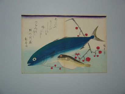 null Estampe de Hiroshige, série des grands poissons, thon et fugu. Vers 1835.
