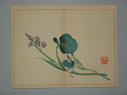 null Deux estampes de Keibun, à sujet d'animaux. Vers 1870.