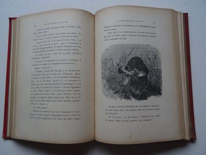 null "Le Testament du Duc Job", F. Méaulle; Ed. Alfred Mame et fils, 1893, 392 p....