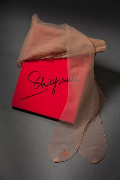 SCHIAPARELLI Pair of stockings with coloured chopsticks, in their original box.
