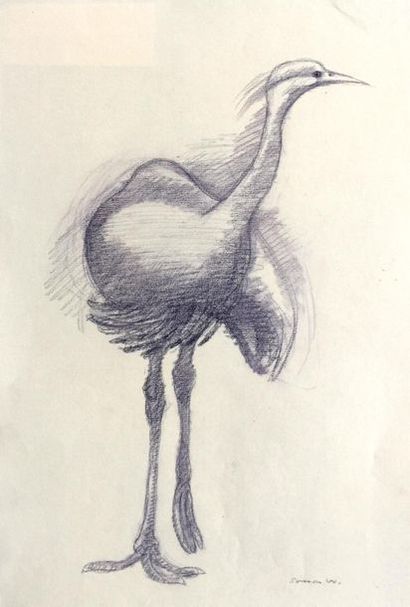 Henri SAMOUILOV (1930-2014) Swan, crane and heron
Five pencil and coloured pencil...