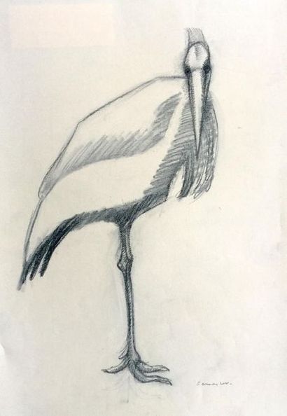 Henri SAMOUILOV (1930-2014) Swan, crane and heron
Five pencil and coloured pencil...