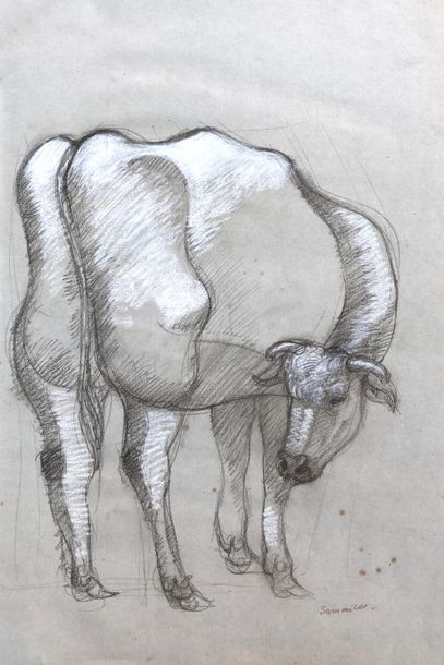 Henri SAMOUILOV (1930-2014) Cow
Set of 11 ink, graphite, sanguine
drawings Attached...
