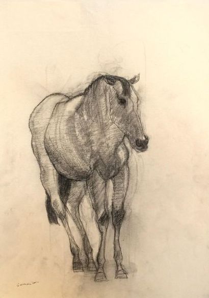 Henri SAMOUILOV (1930-2014) Horses
Five pencil drawings, grease
pencil Enclosed is...