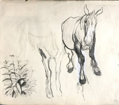 Henri SAMOUILOV (1930-2014) Donkey
Ten Studies in Ink, Watercolour and Pencil