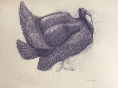 Henri SAMOUILOV (1930-2014) Étude de dindons
Deux dessins crayon couleur, l'un signé
On...