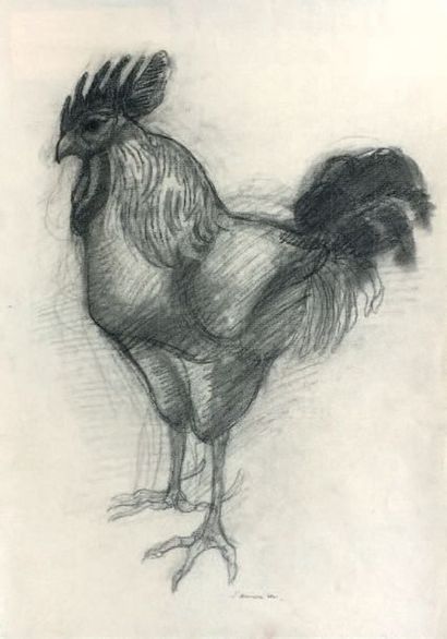 Henri SAMOUILOV (1930-2014) Cock
Two studies in Charcoal
29.5 x 41.5 cm and 41.5...