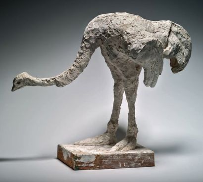 Henri SAMOUILOV (1930-2014) Ostrich
Plaster on wooden base
31 x 42 cm