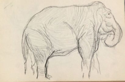 Henri SAMOUILOV (1930-2014) Elephant Colored pencil
drawing, signed lower left
29,5...