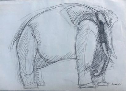 Henri SAMOUILOV (1930-2014) Elephant
Charcoal, signed lower right, study
33.5 x 54...