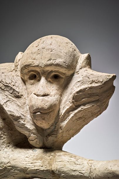 Henri SAMOUILOV (1930-2014) Hand stretched monkey
Plaster
42 x 29 cm
Accident