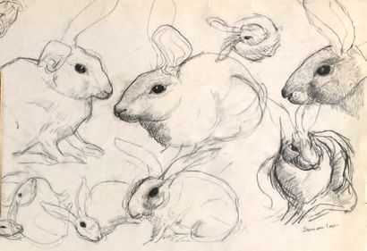 Henri SAMOUILOV (1930-2014) Etude de lapin
Dessin à la mine de plomb, pastel, signé...