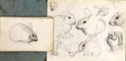 Henri SAMOUILOV (1930-2014) Study of rabbit
Pencil drawing, pastel, signed 29.5 x...