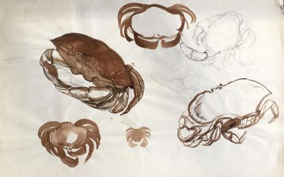 Henri SAMOUILOV (1930-2014) Animal
studies Three bisque inks, two signed, one dated...