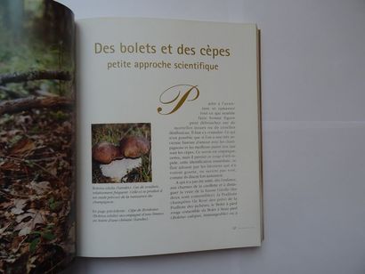 null « Le livre du Cèpe », Patrick Rödel ; Ed. Éditions confluences, 2005, 192 p....
