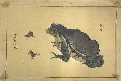 JAPON - Epoque EDO (1603 - 1868), XIXe siècle 
Set of seven small drawings on paper,...