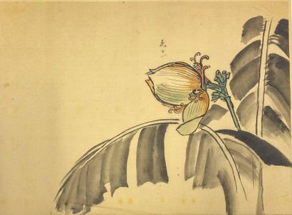 JAPON - Epoque EDO (1603 - 1868), XIXe siècle 
Set of eight inks on paper, representing...