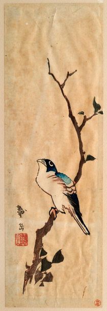 null Chu tanzaku, oiseau posé sur une branche.
Signé et cachet de l'artiste. Cachet...