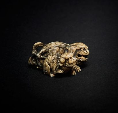 JAPON - XIXE SIÈCLE 
*Netsuke en ivoire, shishi et son petit, les poils finement...