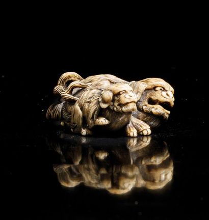 JAPON - XIXE SIÈCLE 
*Netsuke in ivory, shishi and its small, finely chiselled hair,...