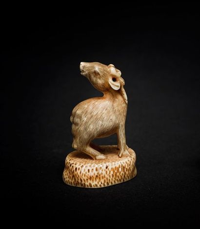 JAPON - XIXE SIÈCLE 
*Netsuke en ivoire, daim sur une souche, la tête tournée vers...