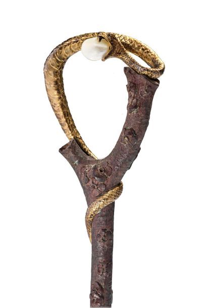 ANDRE BUCHER (XIX-XXème) 
Pommeau d'ombrelle en bois sculpté à décor d'un serpent...